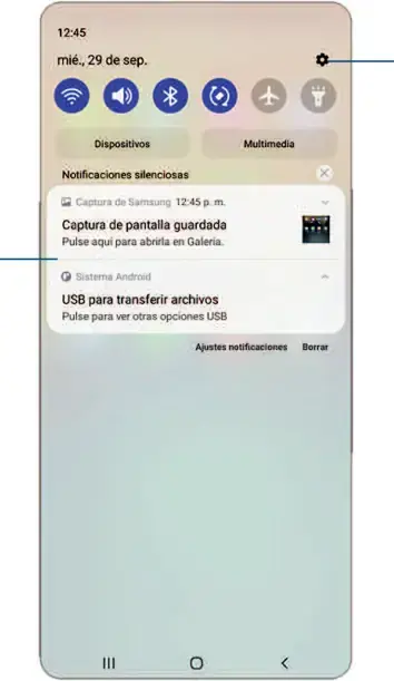 Panel de notificaciones