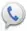 Open Google Voice