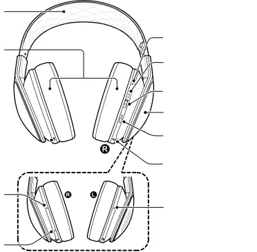 Device layout