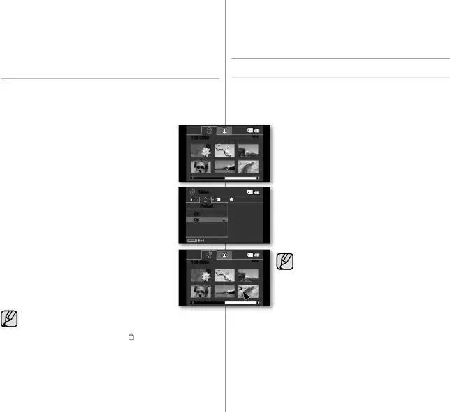 digital camera mode (SC-DX103/DX105 only)