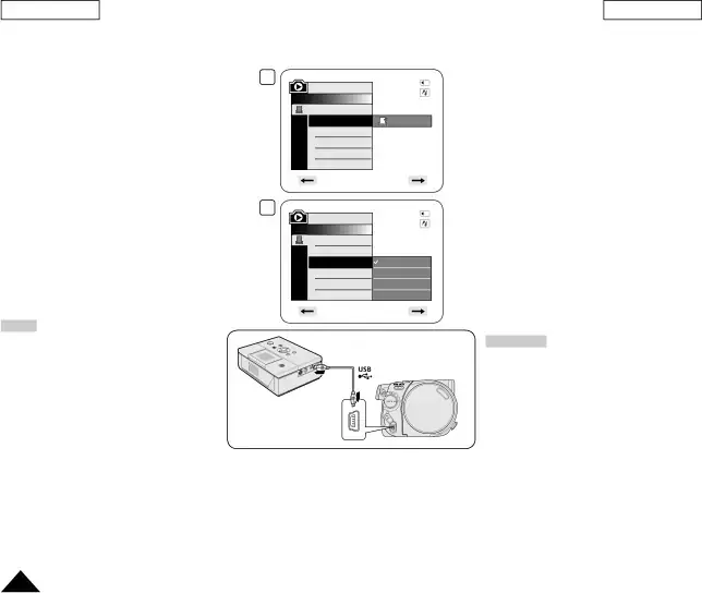 Setting the Number of Prints