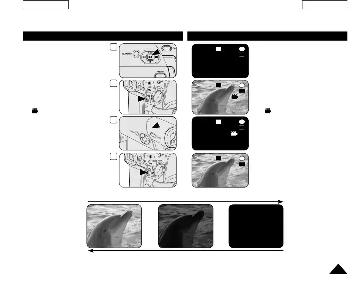 DVD Camcorder: Basic Recording