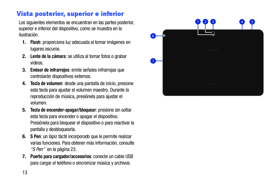 Vista posterior, superior e inferior