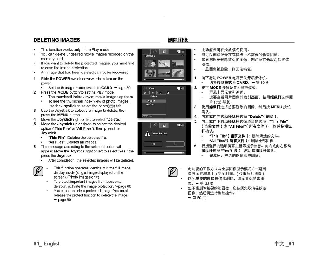 61_ English Handheld SC-DX103