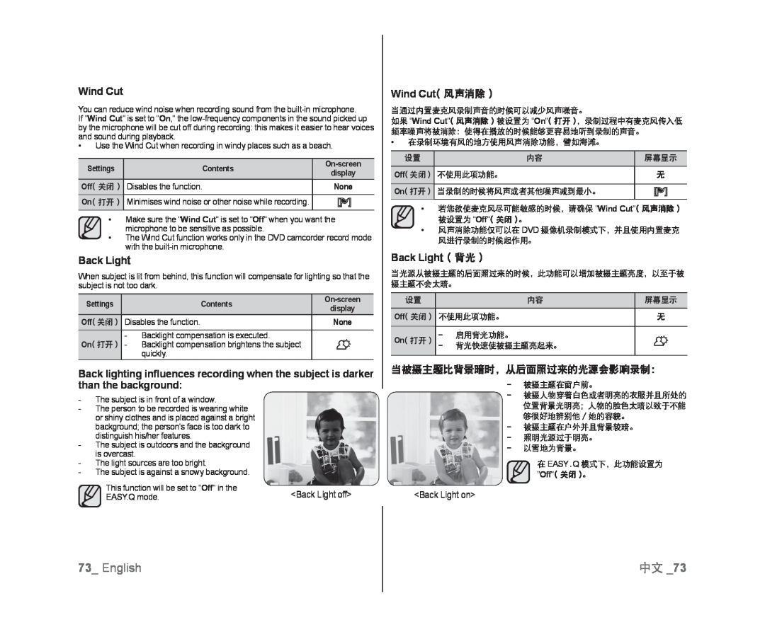 当被摄主题比背景暗时，从后面照过来的光源会影响录制： Handheld SC-DX103