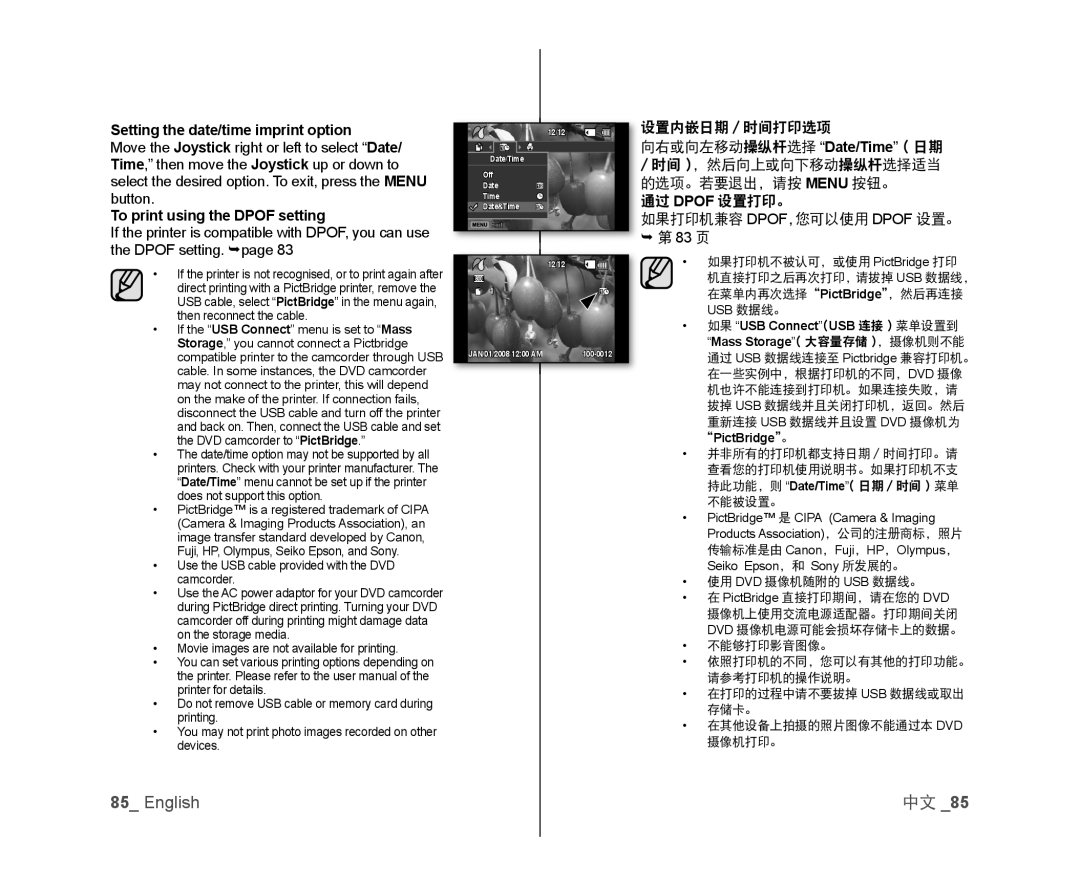 向右或向左移动操纵杆选择 “Date/Time” ( 日期 Handheld SC-DX103